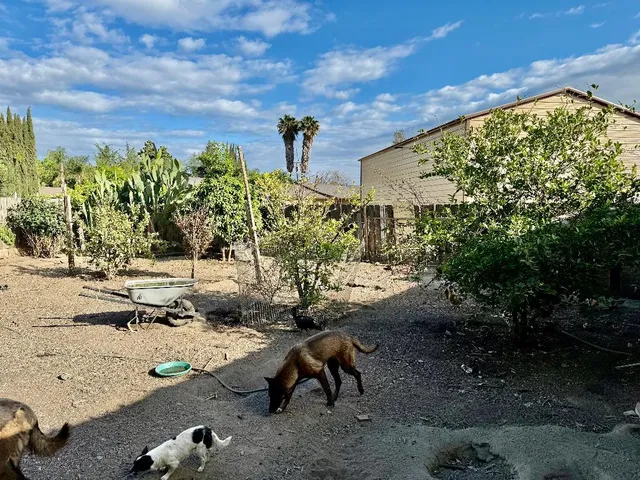 a view of backyard with outdoor space