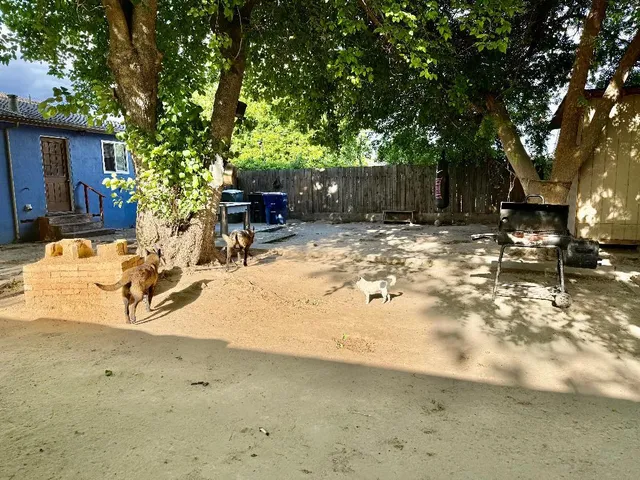 a view of a backyard with table and chairs and a large tree