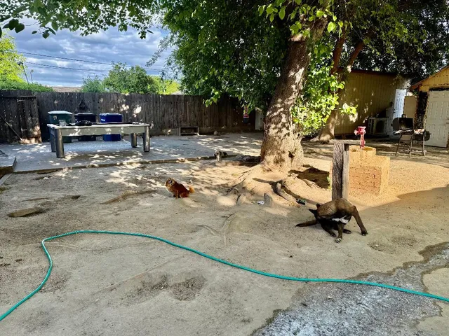 a view of a swimming pool with a patio