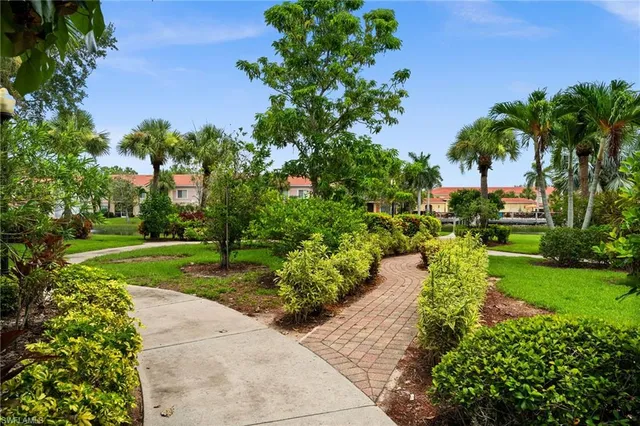a view of a park with plants and trees
