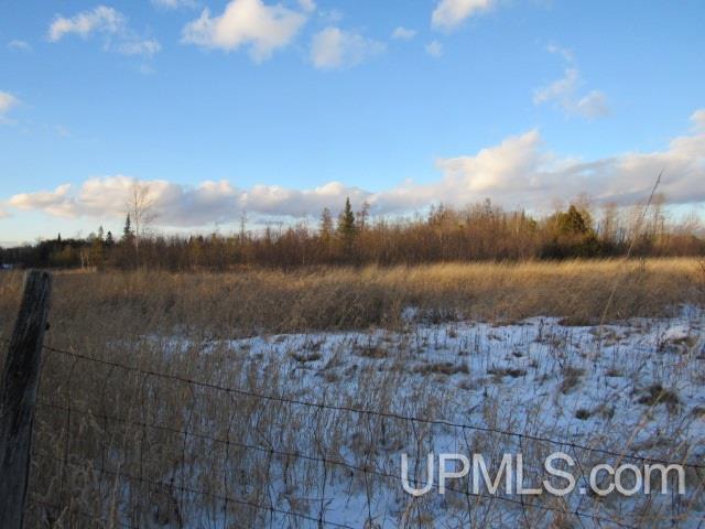 M35 - Tower Road Perkins, MI 49872 - Photo 11 of 15