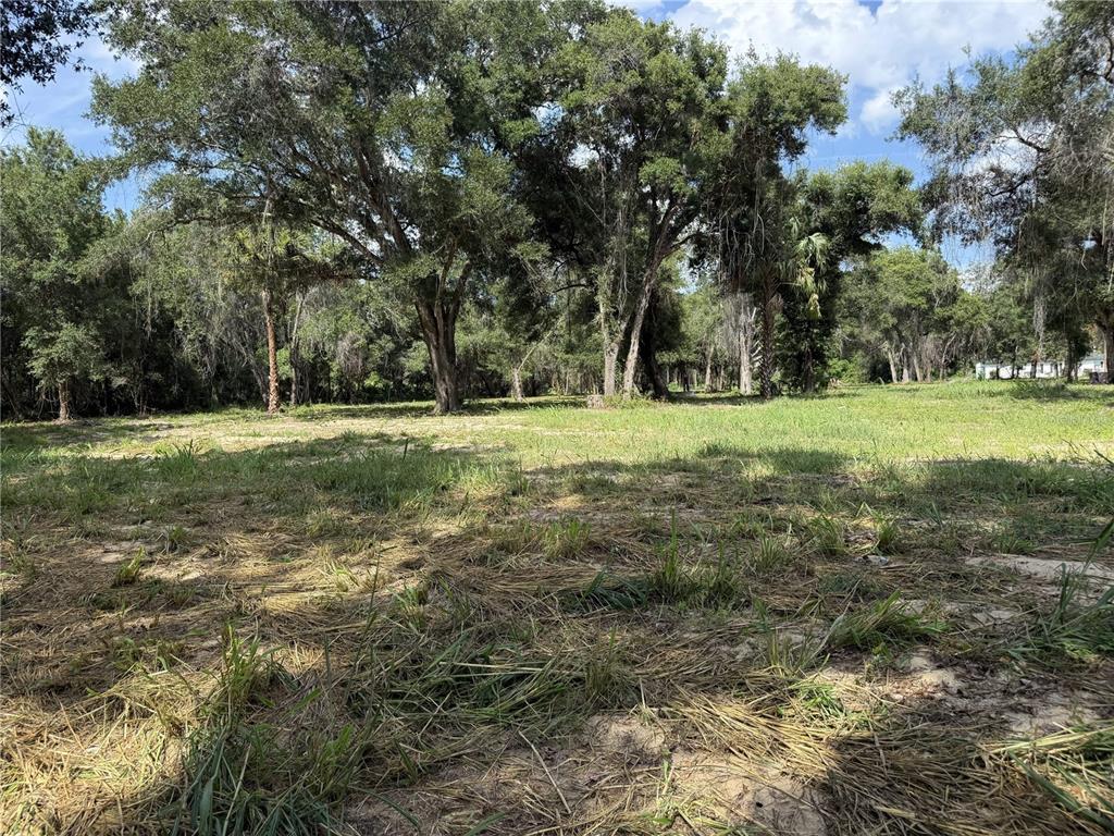 620 Cochran Road Geneva, FL 32732 - Photo 10 of 11