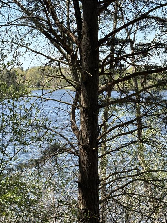 Parcel 3 Pineway Trail Howell, MI 48855 - Photo 6 of 15