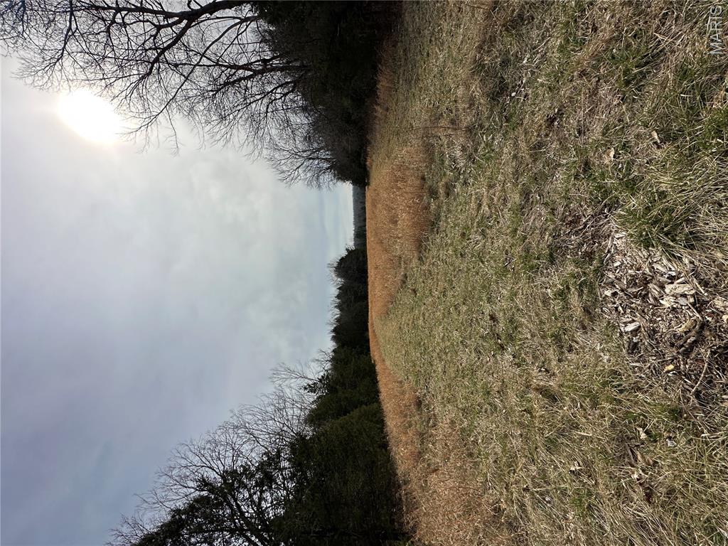 Tbd Upper Janes Creek Road Ravenden, AR 72459 - Photo 59 of 73 Gallery Image 59