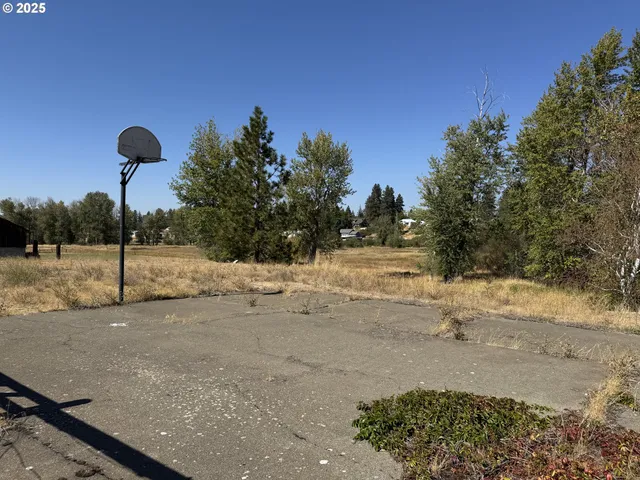 a view of a yard with a tree