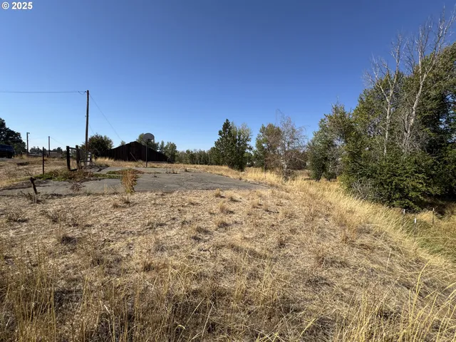 a view of a field with trees in background