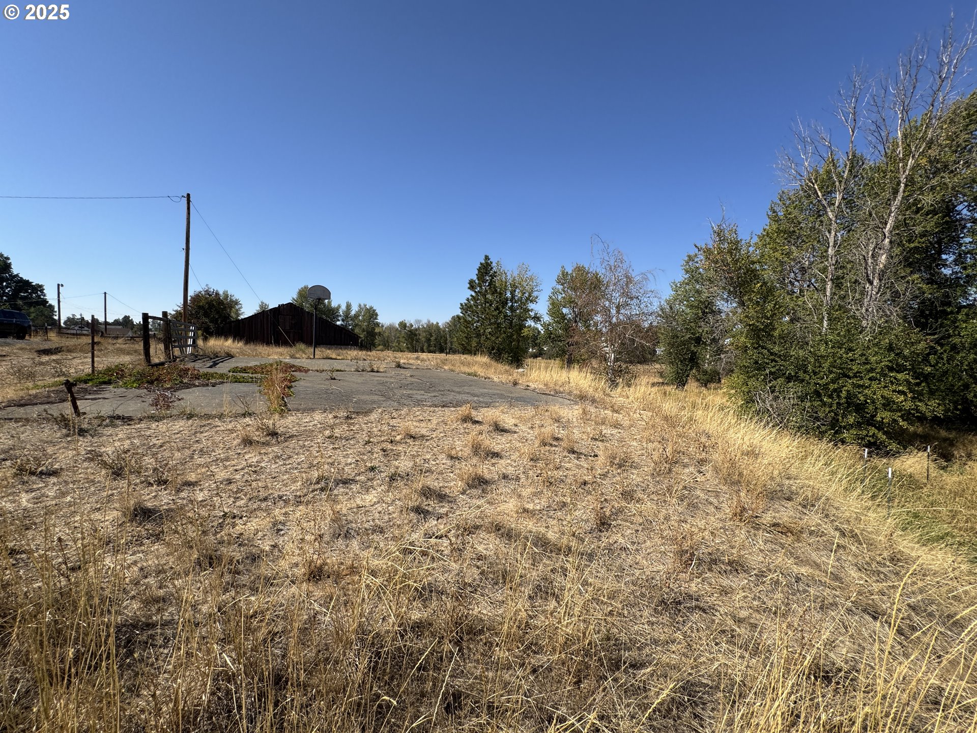 North Grant Street Goldendale, WA 98620 - Photo 4 of 10 a view of a field with trees in background