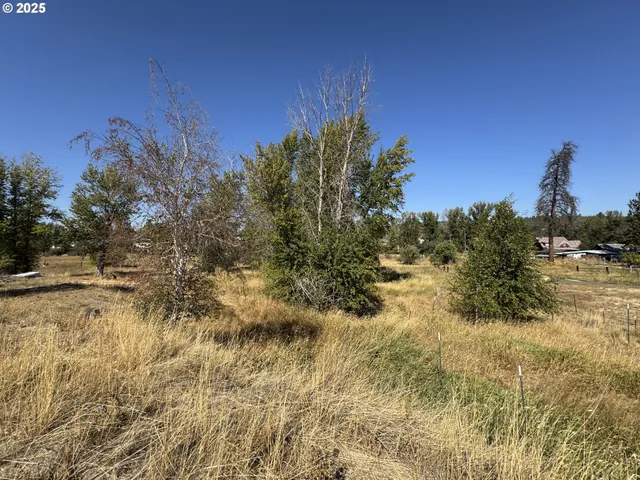 a view of a lake with a mountain in the background