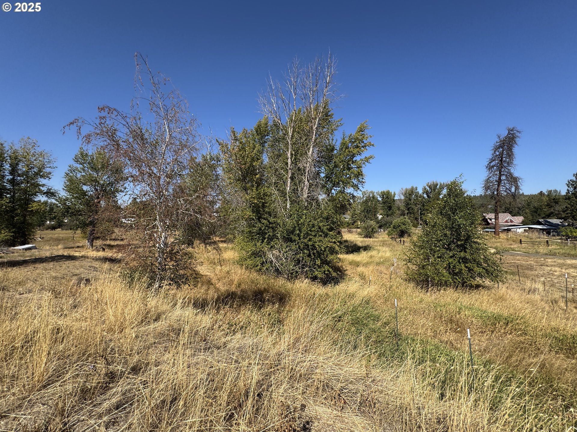 North Grant Street Goldendale, WA 98620 - Photo 5 of 10 a view of a lake with a mountain in the background
