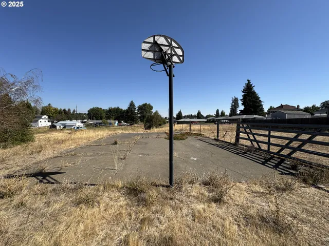 a view of a yard covered with snow in outdoor space