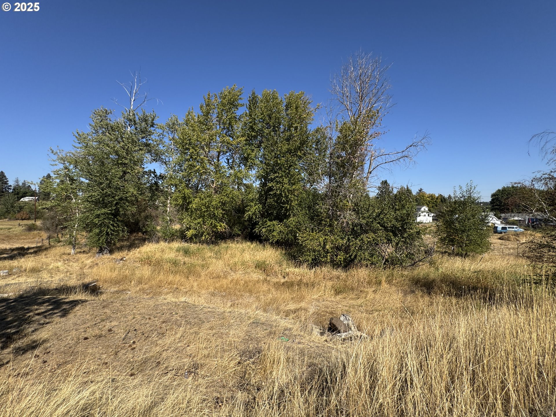 North Grant Street Goldendale, WA 98620 - Photo 7 of 10 a view of a yard covered with snow in outdoor space