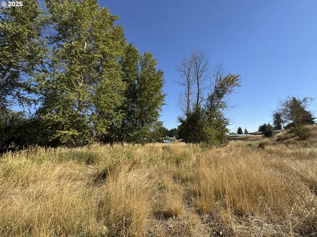 $46,000 | North Grant Street, Goldendale, WA 98620