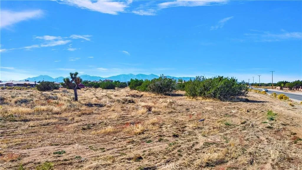 0 El Centro Road Oak Hills, CA 92344 - Photo 9 of 16 a view of a dry yard with lots of trees