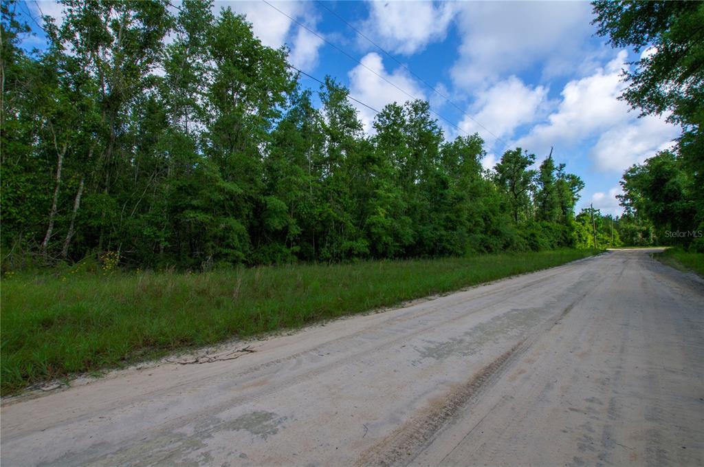 18233 185th Road Live Oak, FL 32060 - Photo 9 of 99