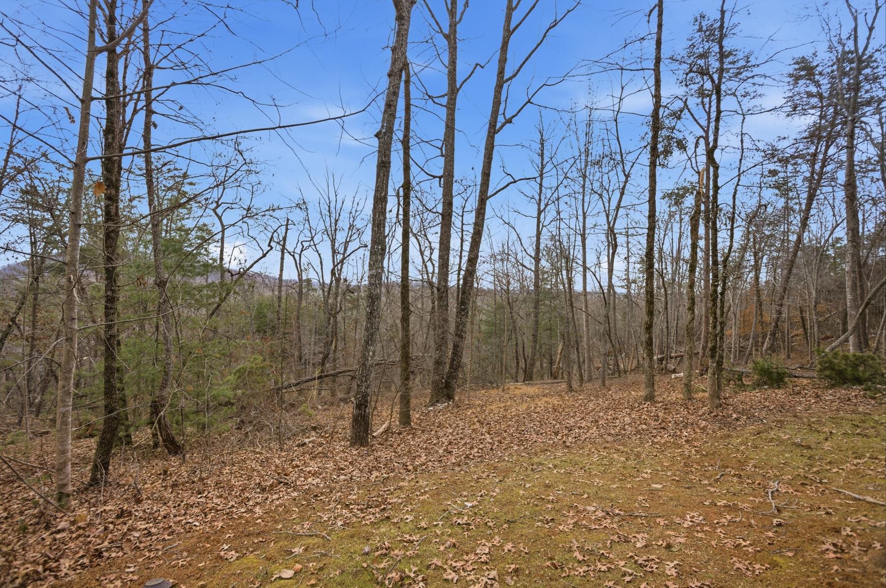 207 Cliffside Trail Pickens, SC 29671 - Photo 43 of 49