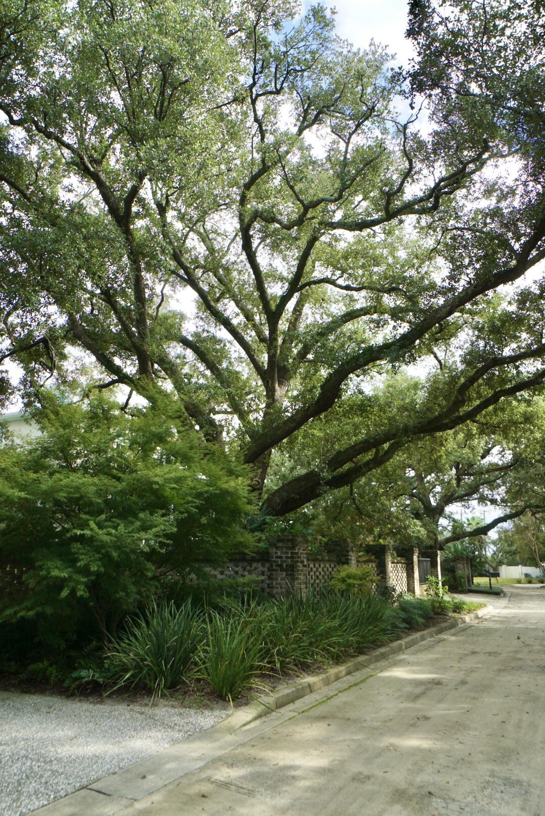 5 Old Summer House Road Charleston, SC 29412 - Photo 38 of 54 CoastalREPhoto5OldSummerhouse-29