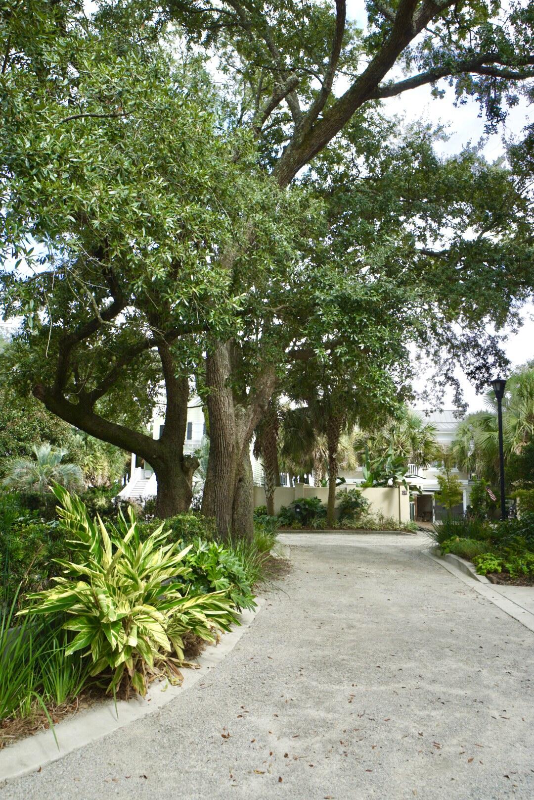 5 Old Summer House Road Charleston, SC 29412 - Photo 49 of 54 CoastalREPhoto5OldSummerhouse-18
