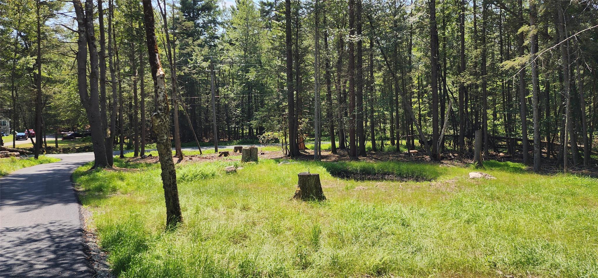 57 Haddock Road Monticello, NY 12701 - Photo 46 of 46 a view of swimming pool from a garden