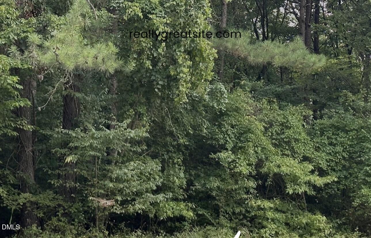 0 Massengill Farm Road Benson, NC 27504 - Photo 1 of 1