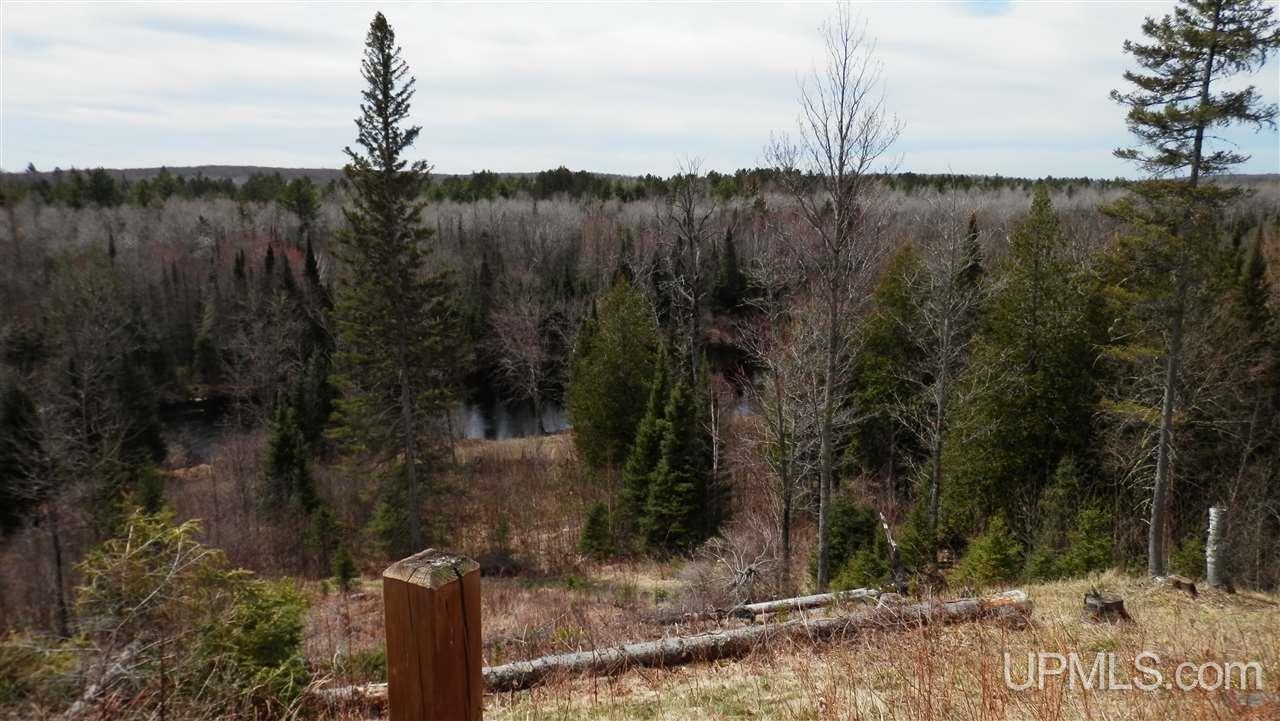 541 Parks Farm Road Iron River, MI 49935 - Photo 4 of 20