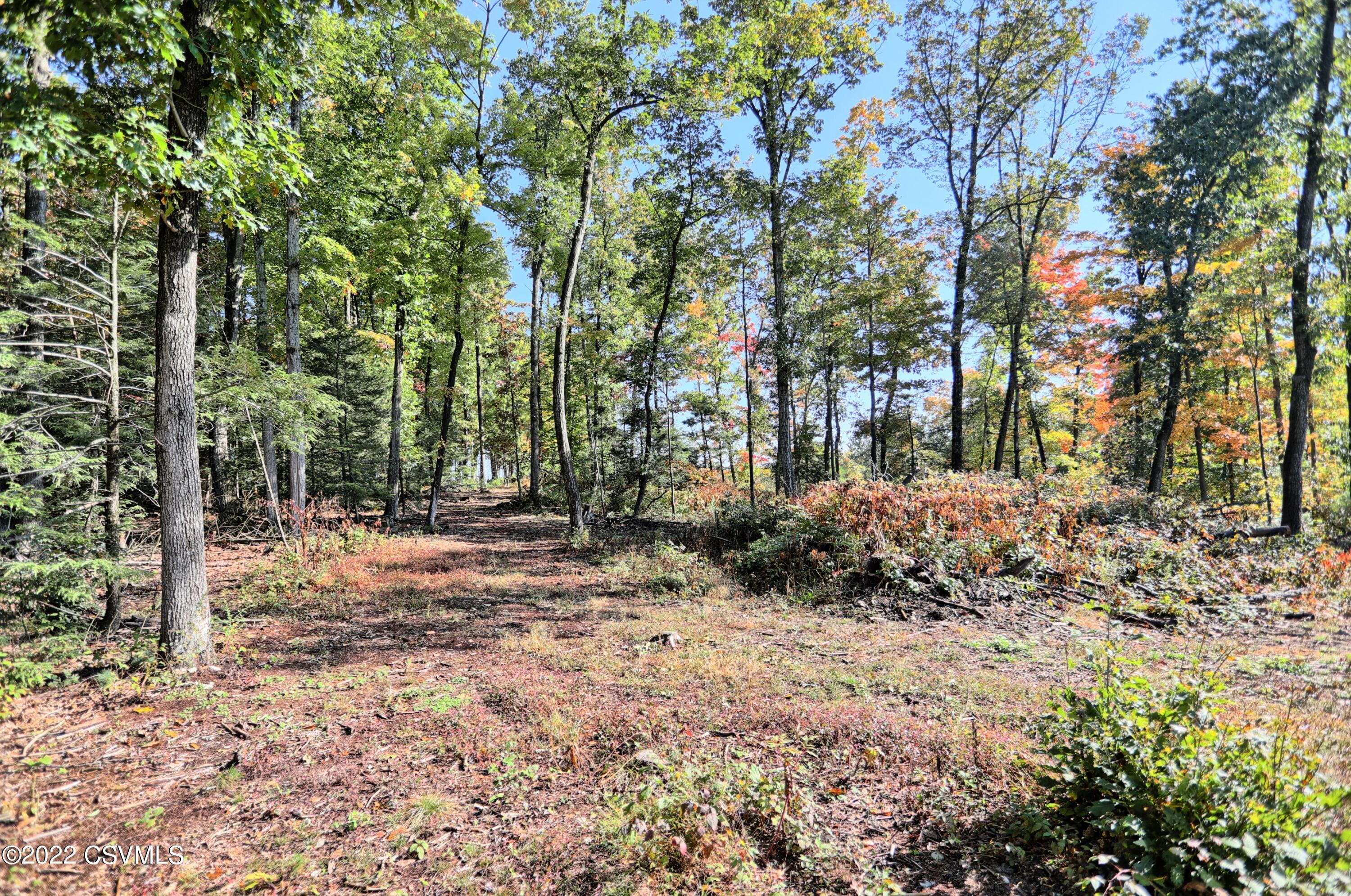 6773 Old Stage Road McClure, PA 17841 - Photo 27 of 49