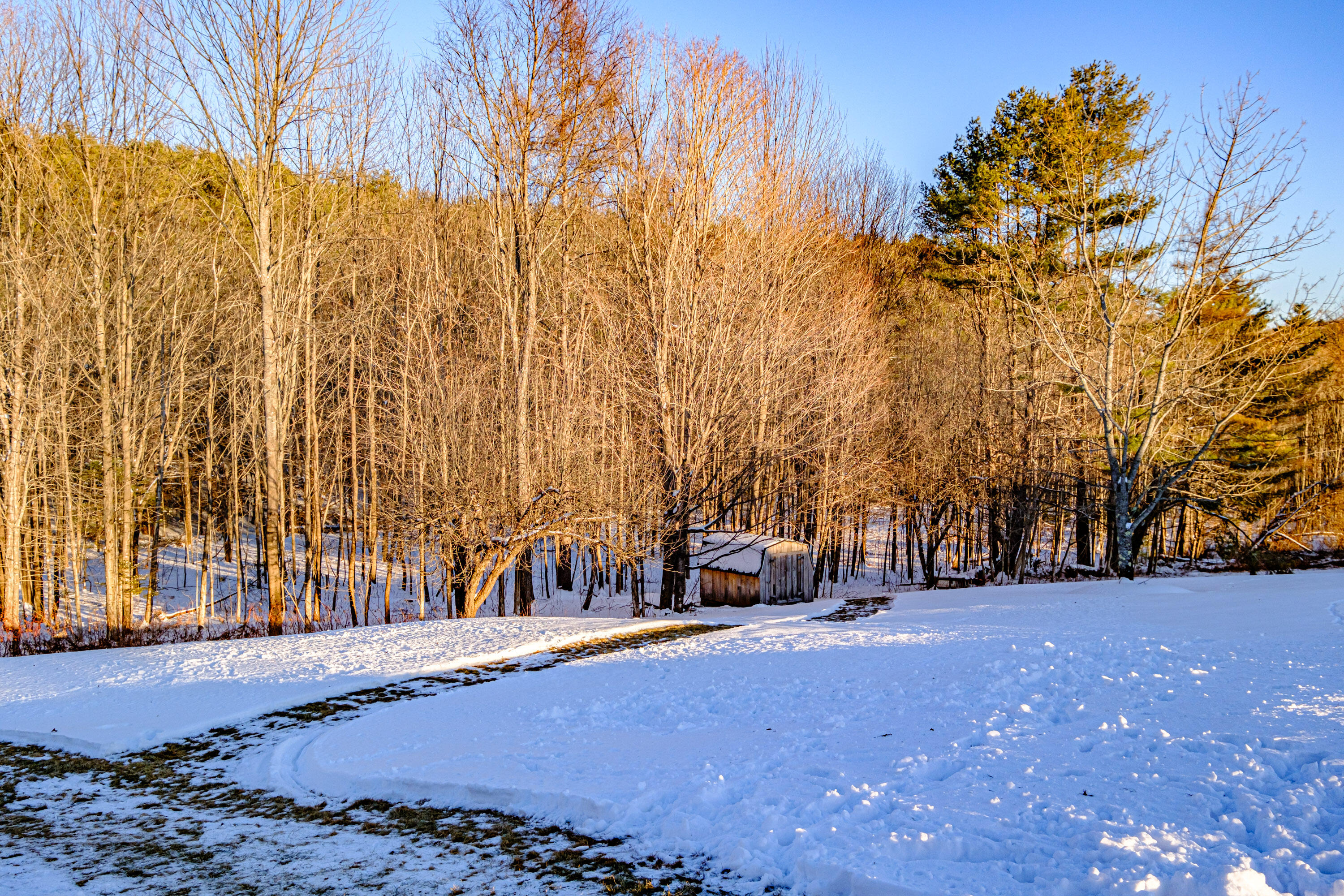 308 Christian Ridge Road Paris, ME 04281 - Photo 84 of 103 additional garden shed