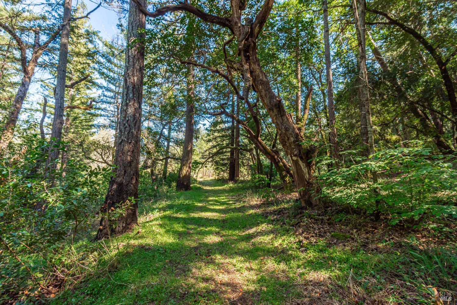 0 Dry Creek Road Napa, CA 94558 - Photo 64 of 98