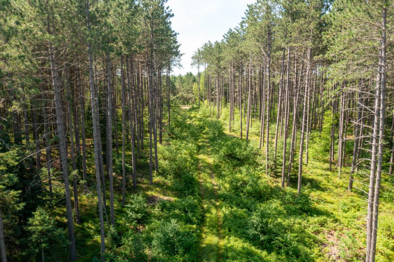 On North Forest Road Tomahawk, WI 54487 - Photo 14 of 18 Gallery Image 14