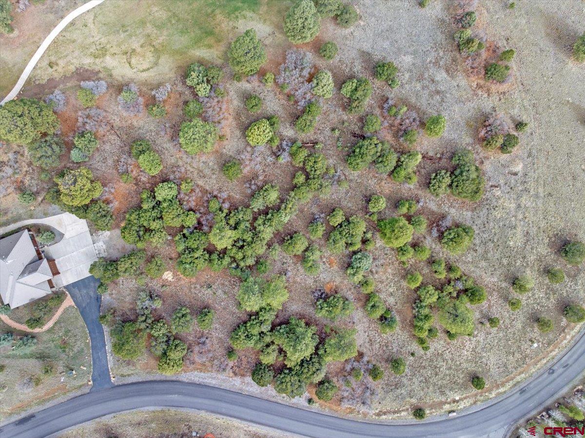 935 Marmot Drive Ridgway, CO 81432 - Photo 13 of 24 a view of a tree in a yard