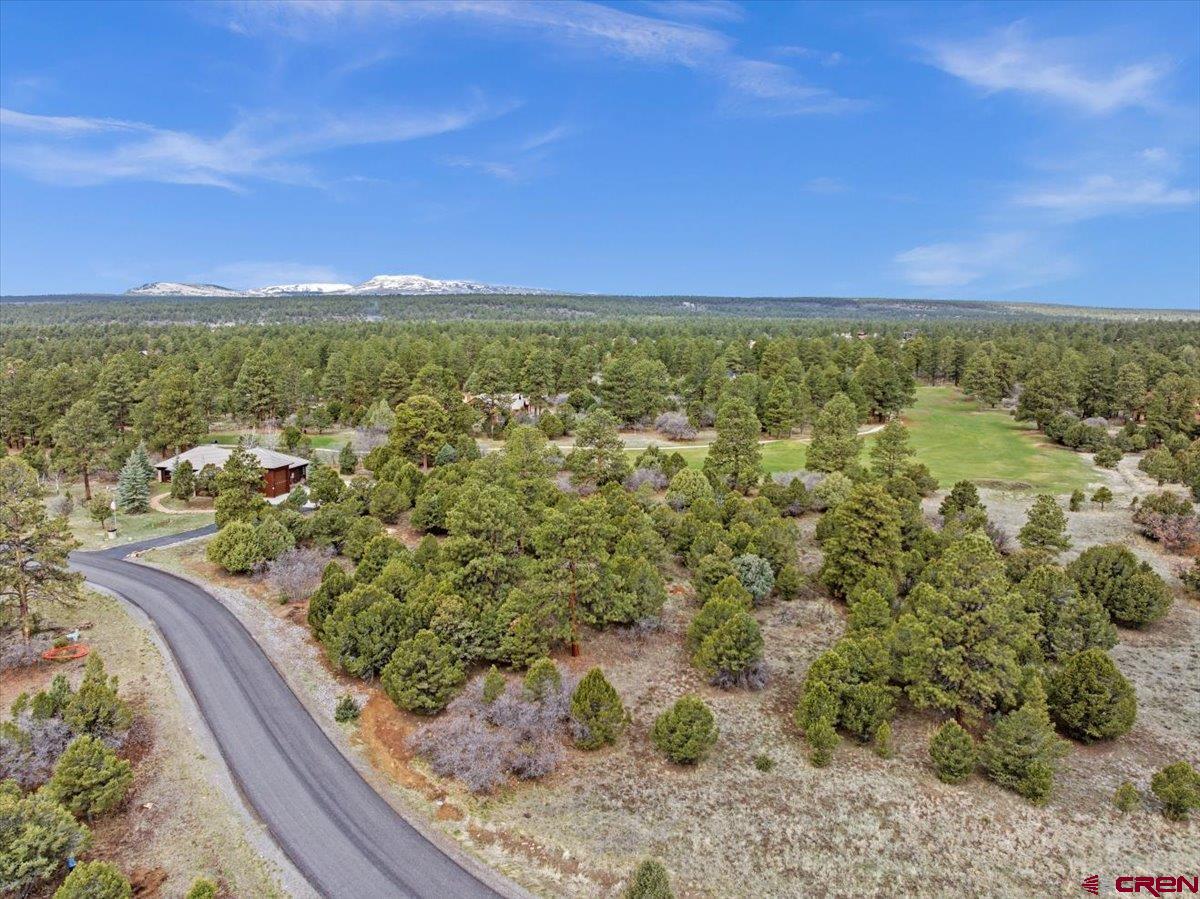 935 Marmot Drive Ridgway, CO 81432 - Photo 14 of 24 a view of a yard with an ocean
