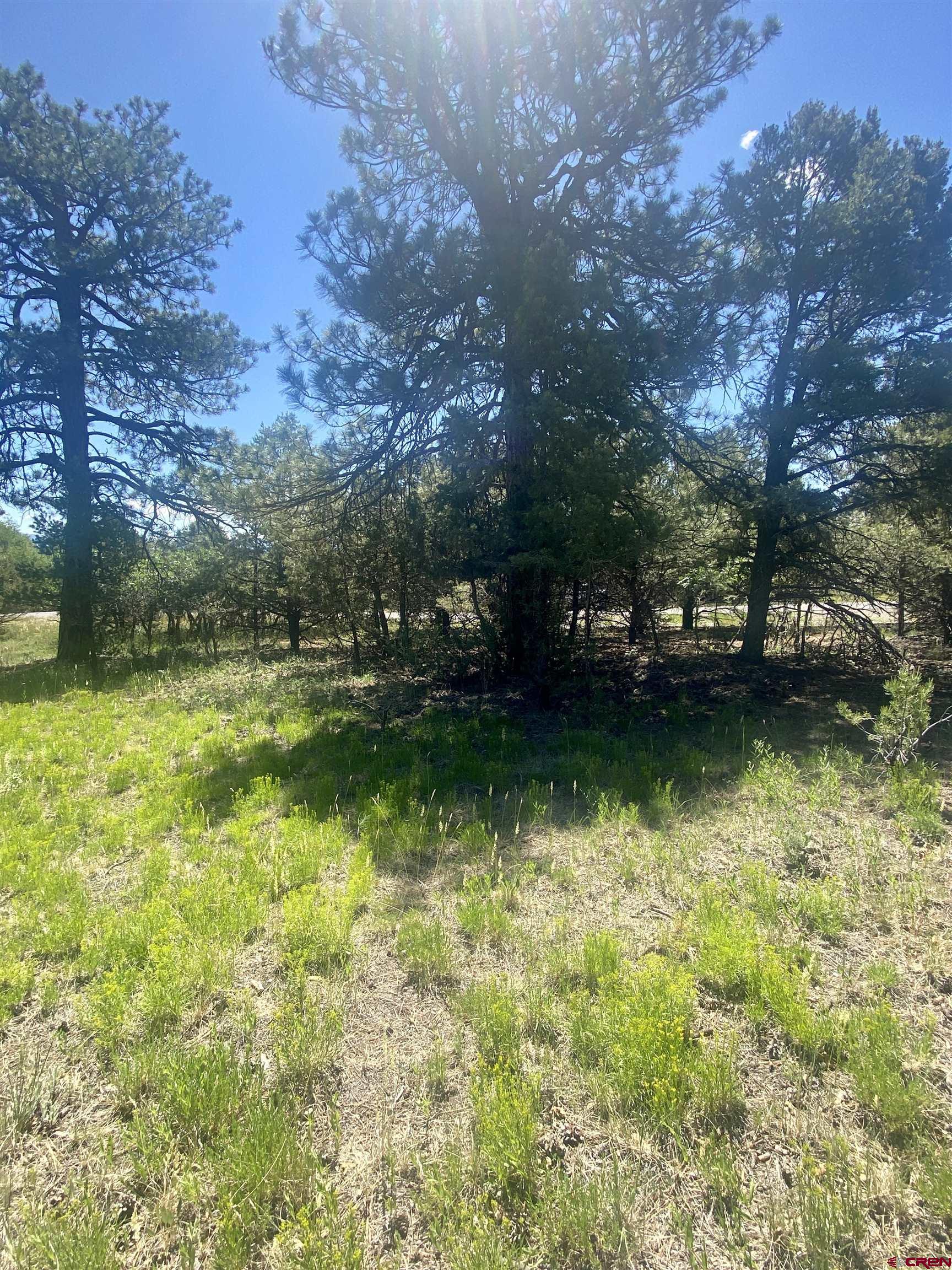 935 Marmot Drive Ridgway, CO 81432 - Photo 19 of 24 front view of a house with a yard