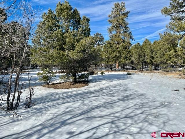 935 Marmot Drive Ridgway, CO 81432 - Photo 21 of 24 a view of road with trees
