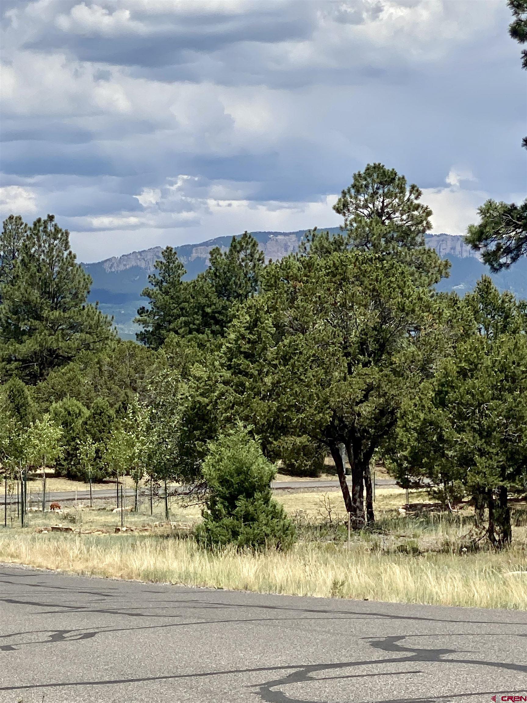 935 Marmot Drive Ridgway, CO 81432 - Photo 23 of 24 a view of a yard
