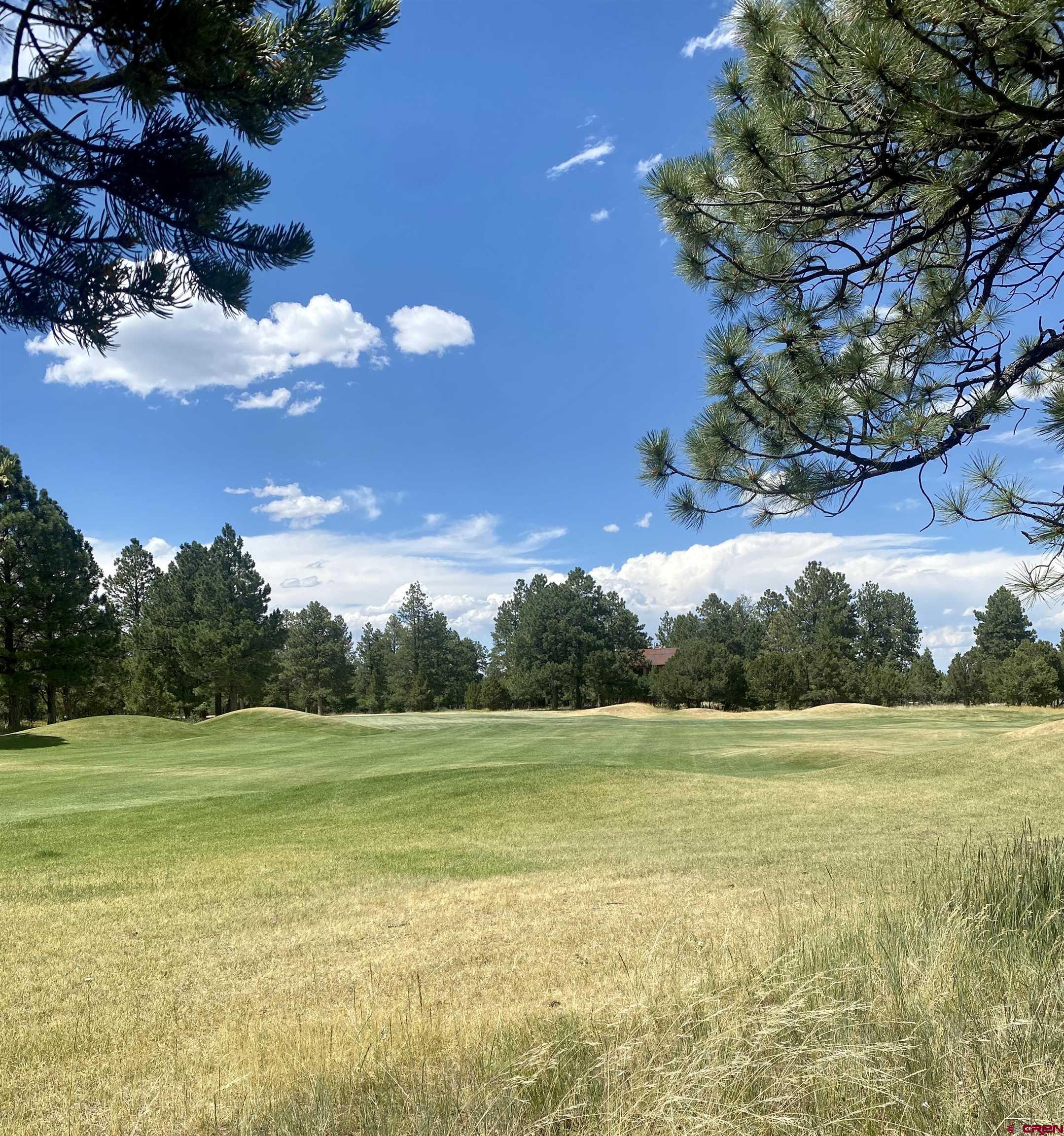 935 Marmot Drive Ridgway, CO 81432 - Photo 3 of 24 a view of a tennis court