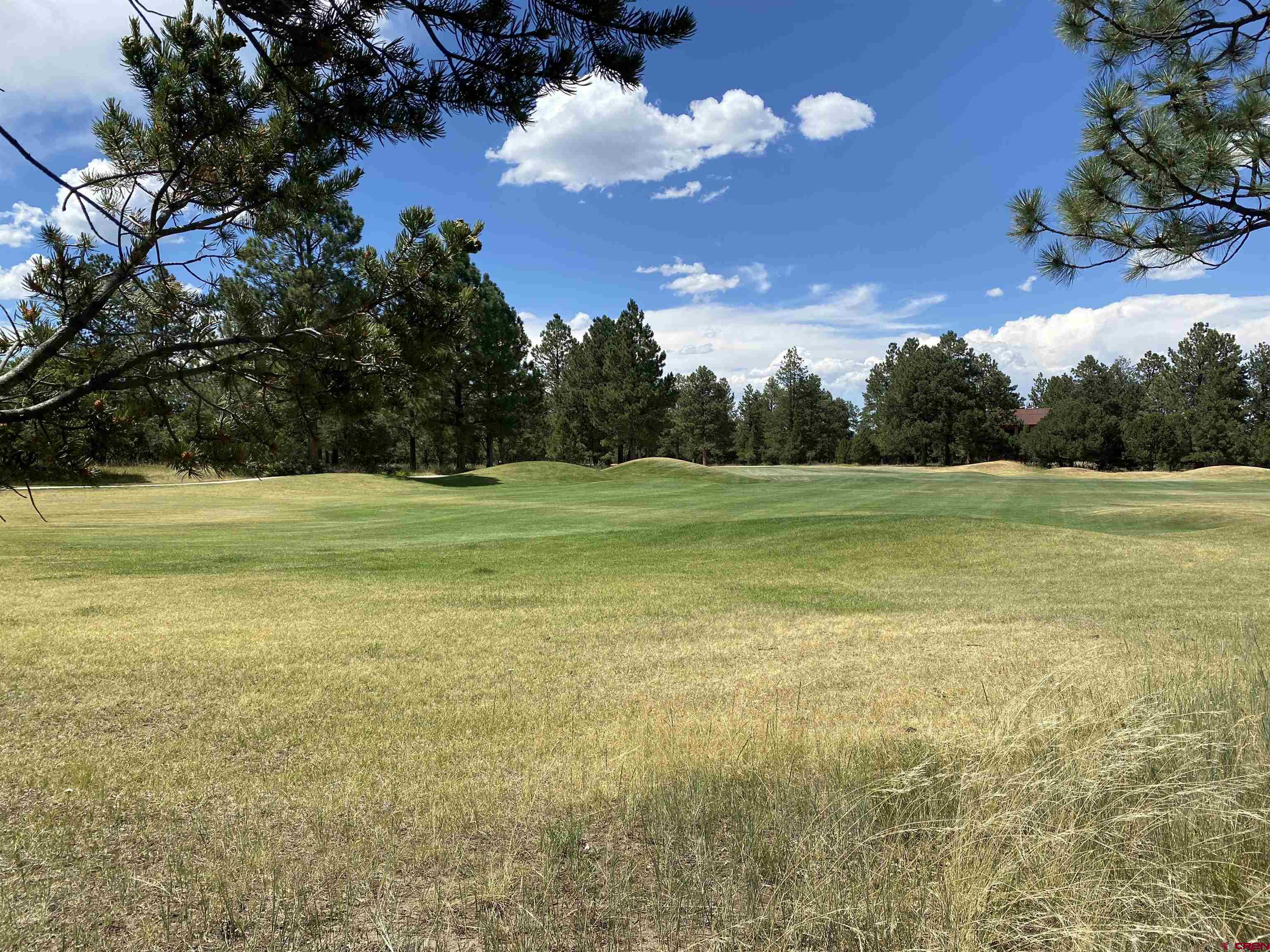 935 Marmot Drive Ridgway, CO 81432 - Photo 4 of 24 a view of a tennis court