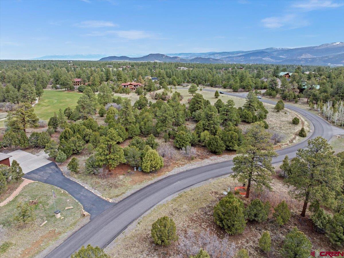 935 Marmot Drive Ridgway, CO 81432 - Photo 6 of 24 an aerial view of a house with a yard