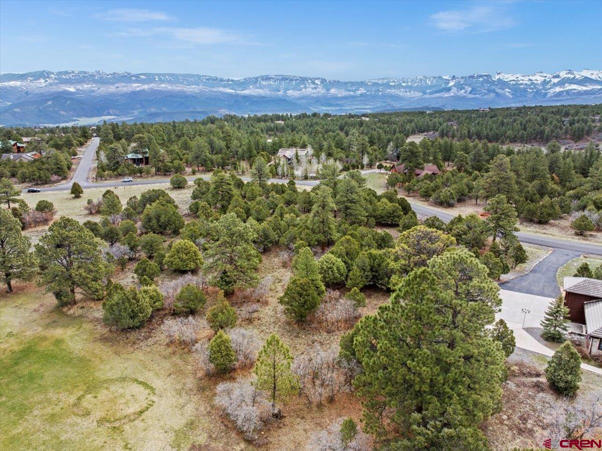 935 Marmot Drive Ridgway, CO 81432 - Photo 7 of 24 a view of a city with mountain