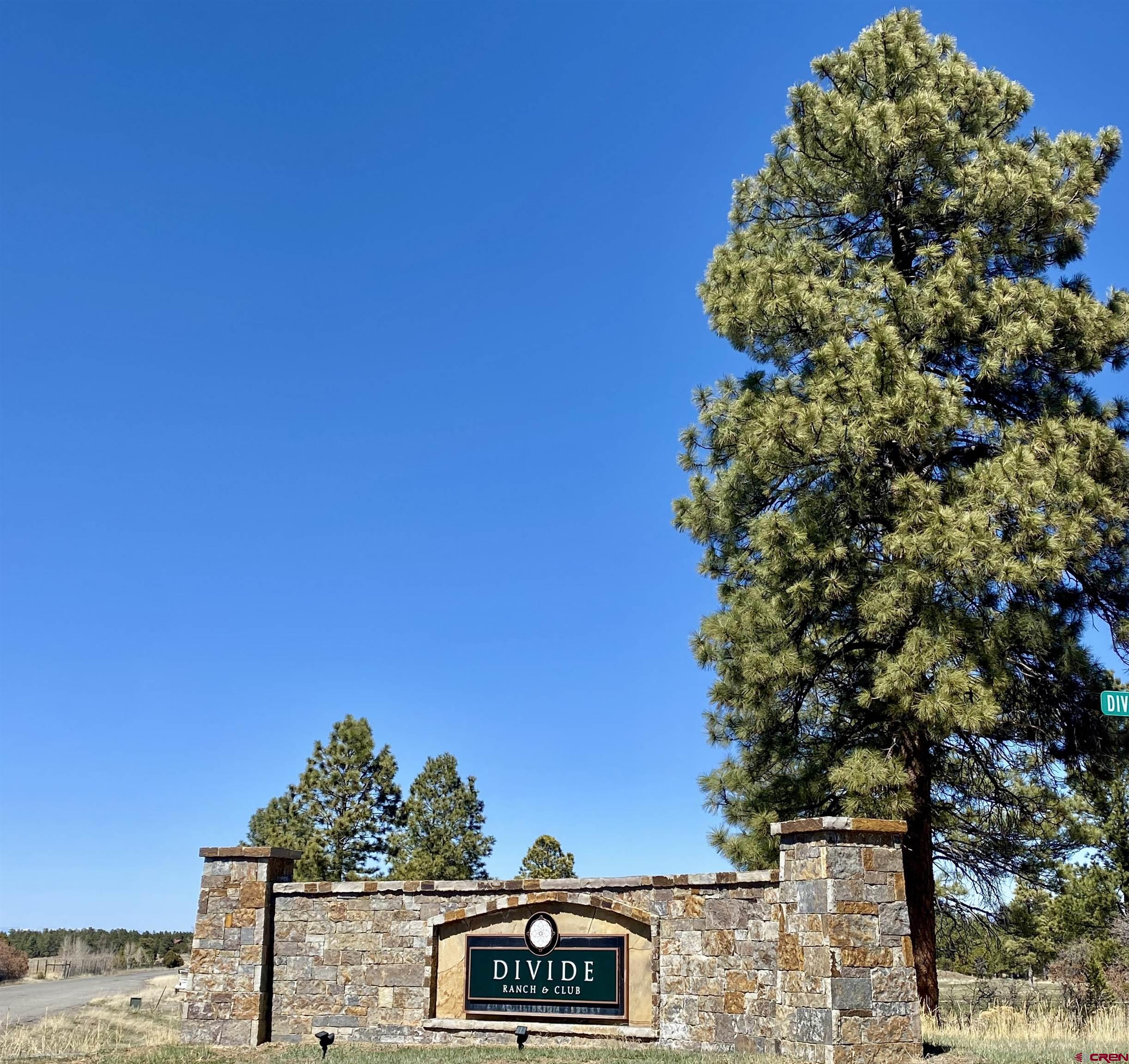 935 Marmot Drive Ridgway, CO 81432 - Photo 9 of 24 a view of a outdoor