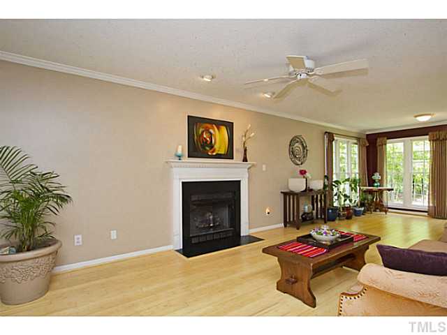 1117 Urania Drive Raleigh, NC 27603 - Photo 3 of 25 a living room with furniture a fireplace and a potted plant