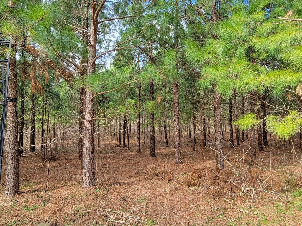 12306 Callaway Road Callaway, VA 24067 - Photo 15 of 53 Gallery Image 15