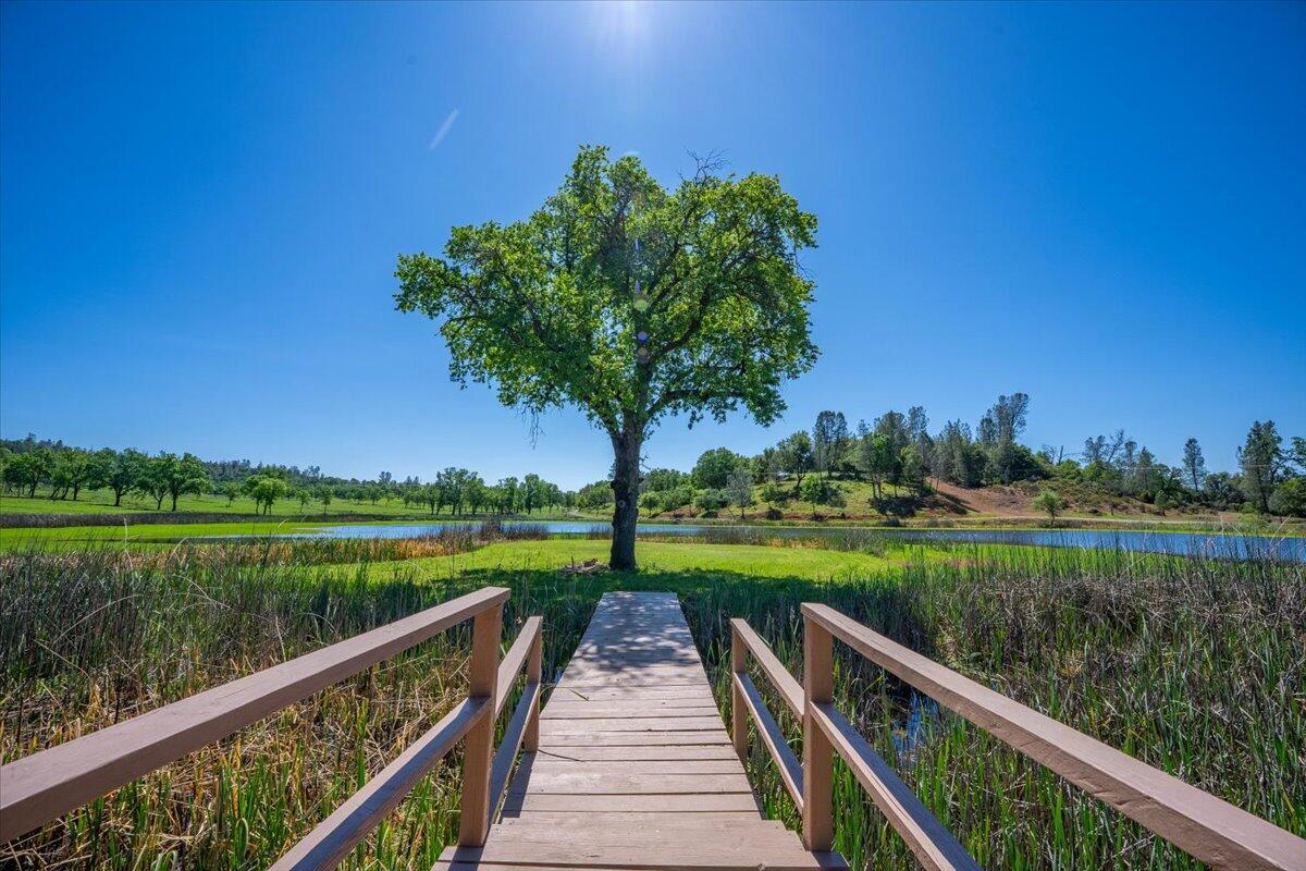 26602 Snider Ranch Road Oak Run, CA 96069 - Photo 48 of 97 8c