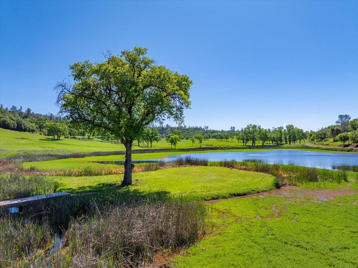 26602 Snider Ranch Road Oak Run, CA 96069 - Photo 52 of 97 a view of a lake with a big yard