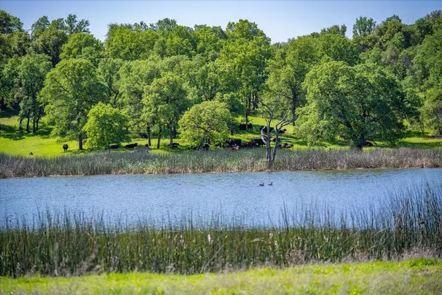 $3,890,000 | 26602 Snider Ranch Road, Oak Run, CA 96069