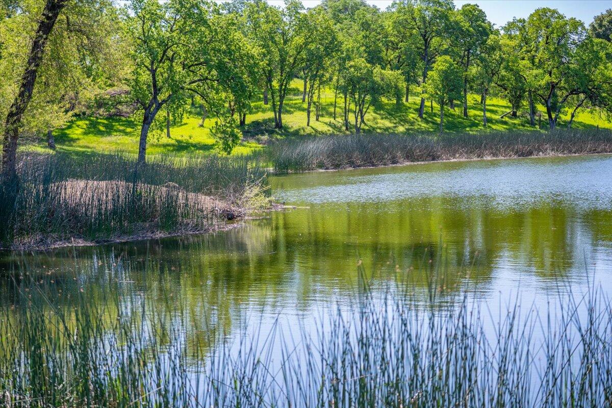 26602 Snider Ranch Road Oak Run, CA 96069 - Photo 78 of 97 a view of swimming pool from a lake