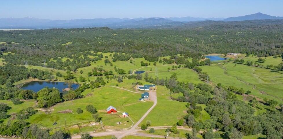 26602 Snider Ranch Road Oak Run, CA 96069 - Photo 8 of 97 a view of a lush green hillside and houses