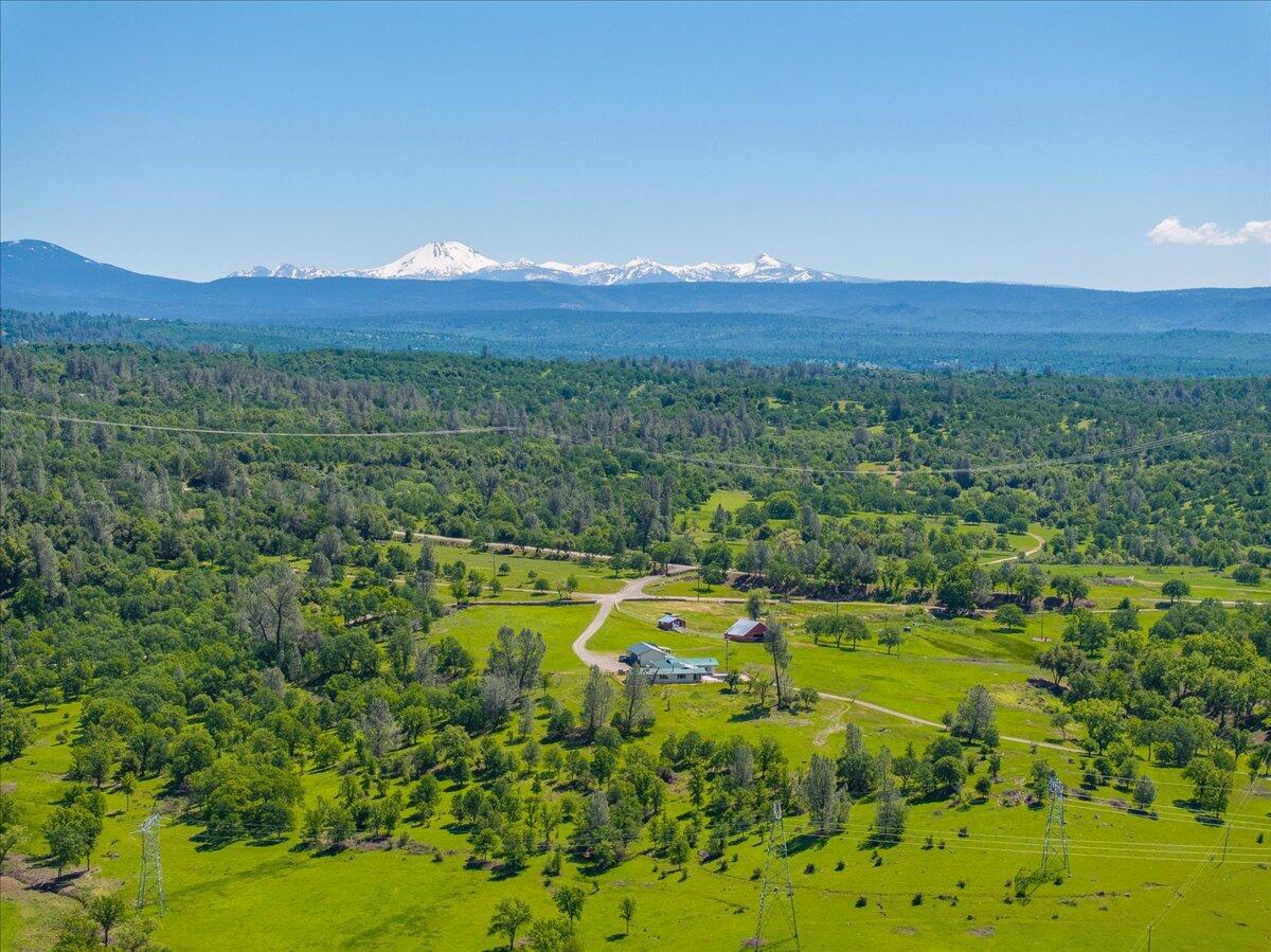 26602 Snider Ranch Road Oak Run, CA 96069 - Photo 84 of 97 a view of a lush green field