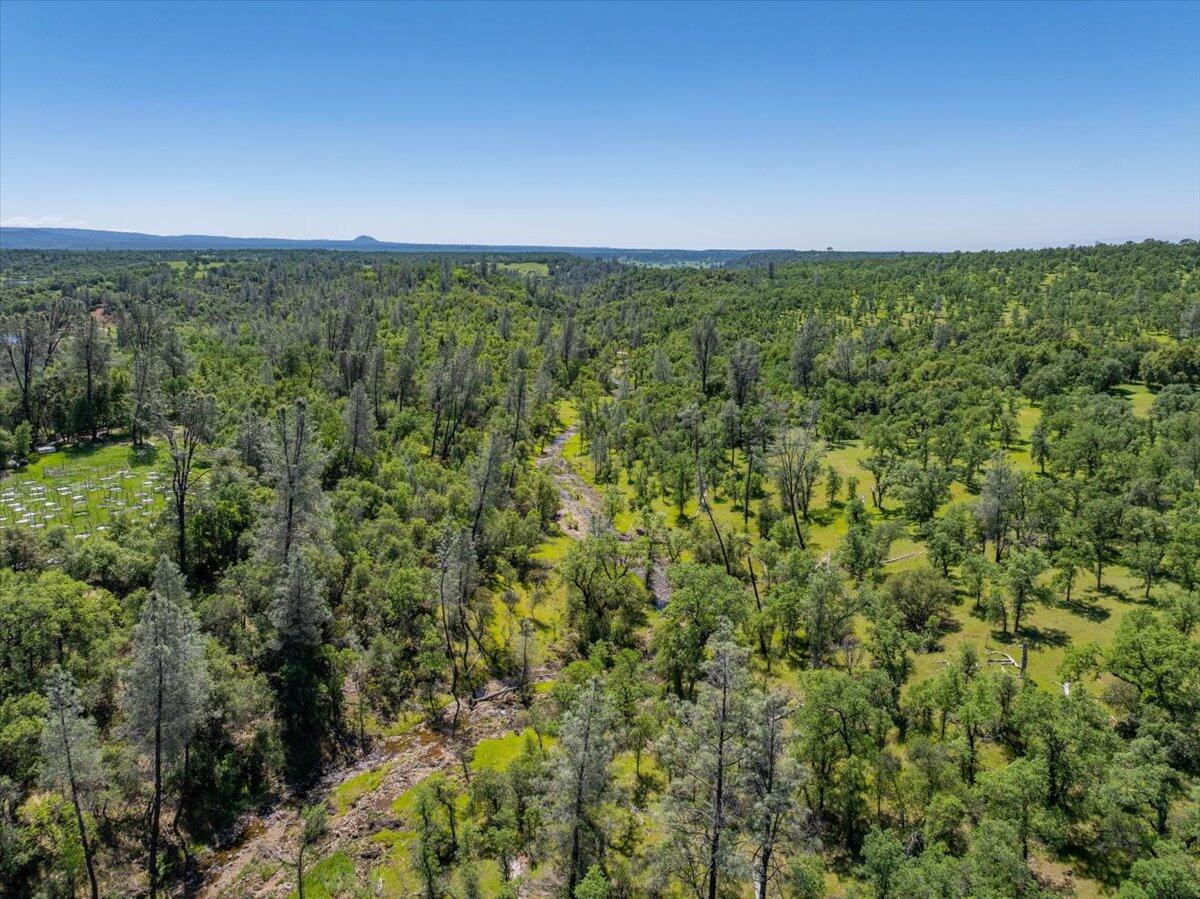 26602 Snider Ranch Road Oak Run, CA 96069 - Photo 87 of 97 22a