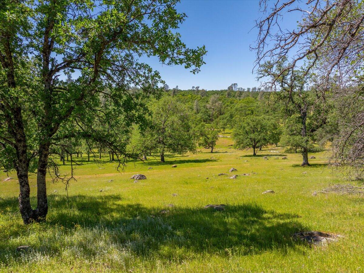 26602 Snider Ranch Road Oak Run, CA 96069 - Photo 91 of 97 26