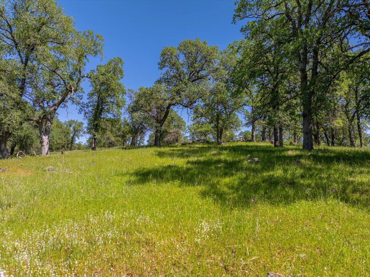 26602 Snider Ranch Road Oak Run, CA 96069 - Photo 92 of 97 a view of swimming pool with yard