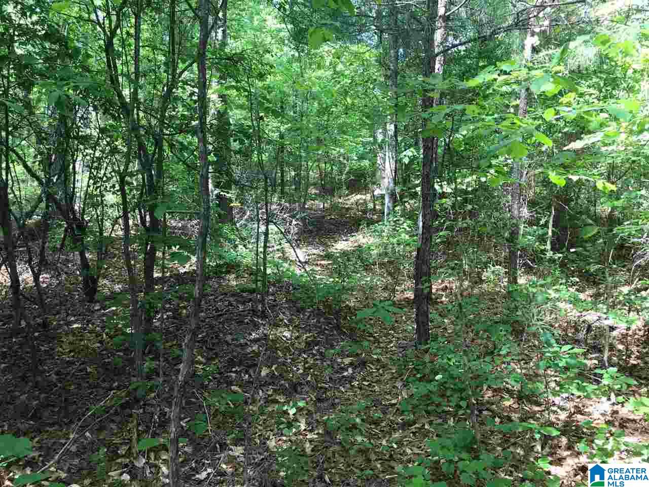 Firehouse Road, Unit 21 Goodwater, AL 35072 - Photo 17 of 21